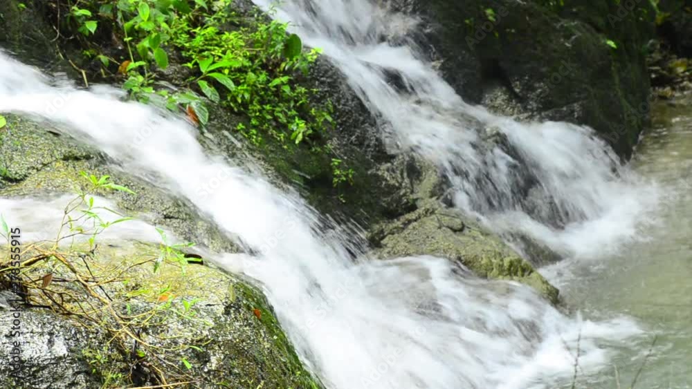 Closeup of fresh water flowing across the mossy stone in tropical rainforest Closeup of fresh water flowing across the mossy stone in tropical rainforest