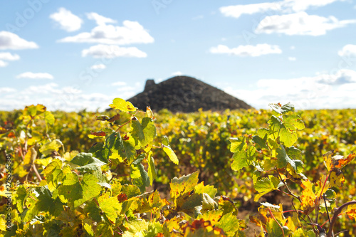 Autumnal vineyard in La Mancha with a bombo on the background photo