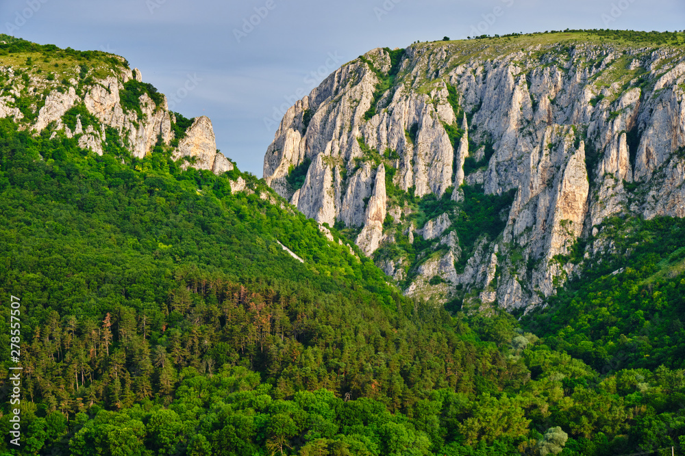 Naklejka premium Turda Gorge (Cheile Turzii) entrance with massive, tall, rock walls, early in the morning, with sunrise light and green forest, during Summer. Popular hiking and climbing destination in Romania.