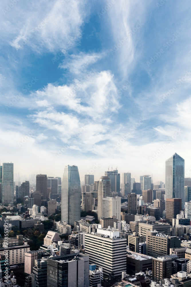 Cityscape of Tokyo city, japan. Aerial skyscraper view of office building and downtown of tokyo with sunset/ sun rise background. Tokyo is metropolis and center of new world's modern business