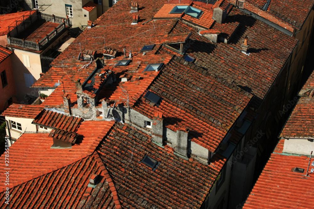 Vintage tiled roofs of Italian houses