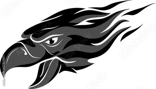 Grey Flame Head Eagle