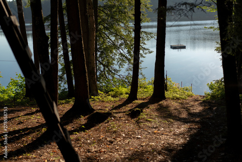 View from a cabin in the forest in Maine, USA. The peaceful cabin was situated a a quiet lake.