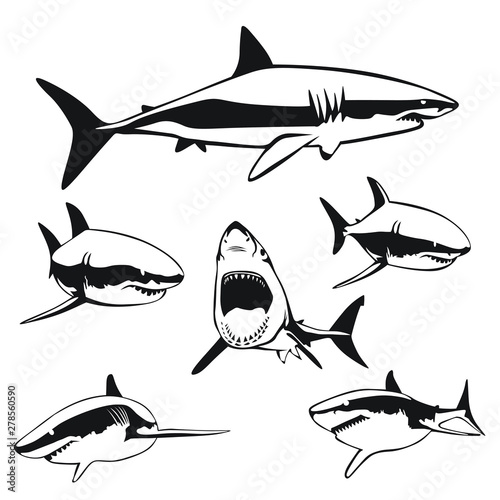 Multiple instances of a vector shark