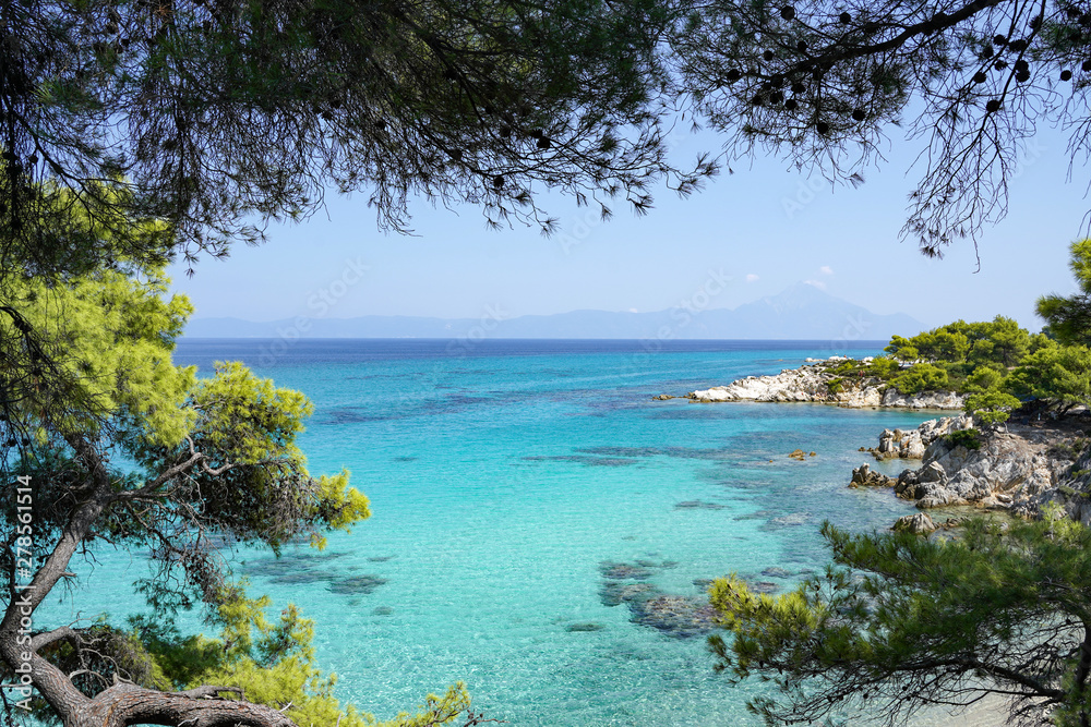 Beautiful azure water and pine tree of Orange beach on the east coast of  Sithonia peninsula, Halkidiki, Greece Stock Photo | Adobe Stock