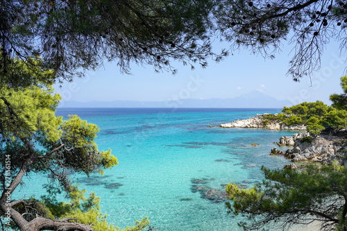 Beautiful azure water and pine tree of Orange beach on the east coast of Sithonia peninsula, Halkidiki, Greece