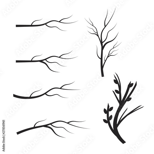 Set of dry tree branch silhouette. Leaves, swirls and floral elements