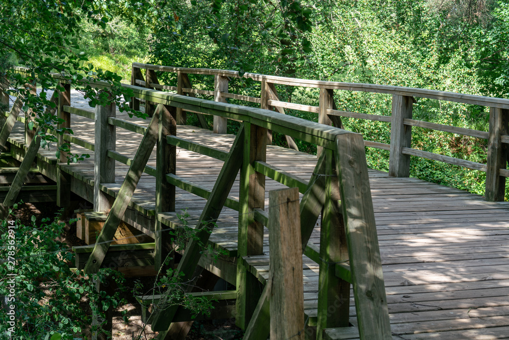 wooden pedestrian bridge with wild nature