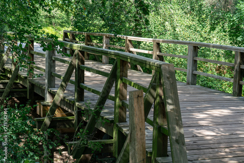 wooden pedestrian bridge with wild nature