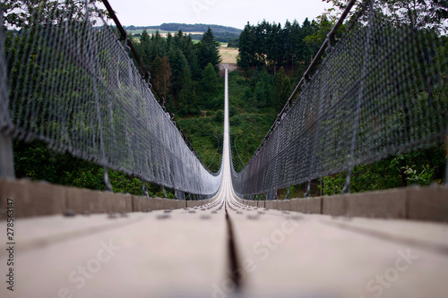Fototapeta Naklejka Na Ścianę i Meble -  wooden suspension bridge green forest germany
