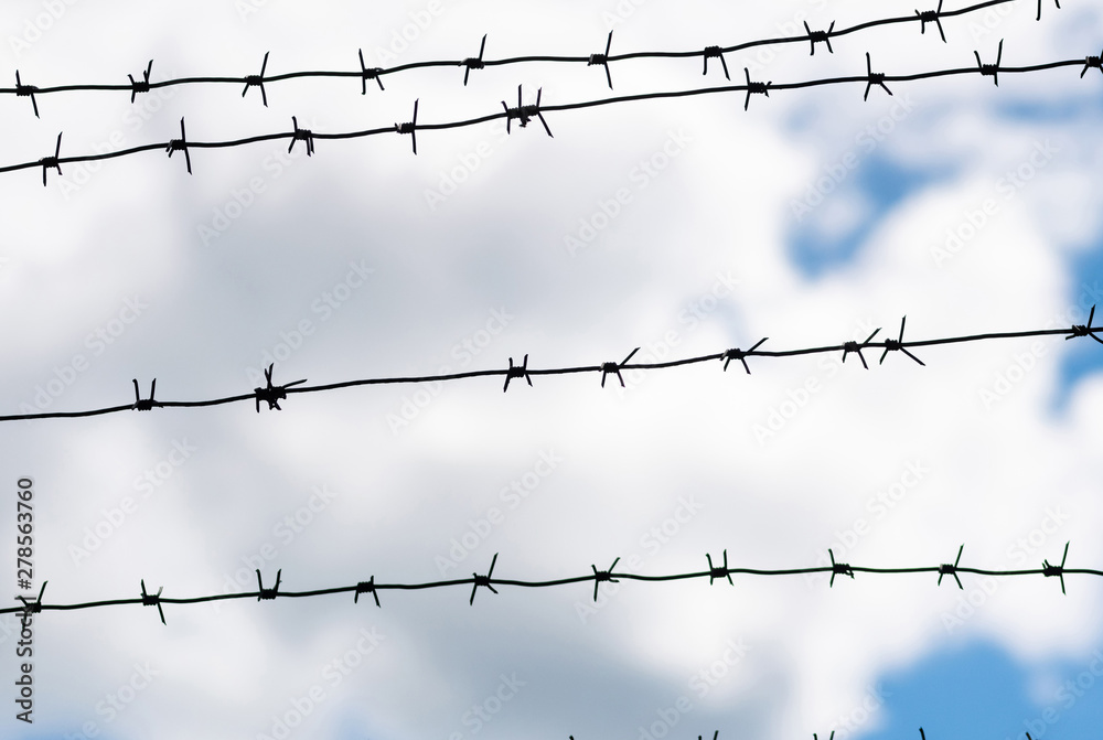 Barbed wire best sale fence illegal