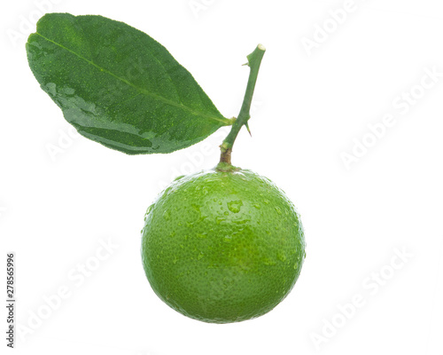 Lime with branches and leaves isolated on white background.