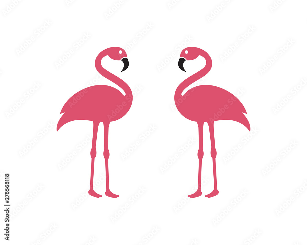 Fototapeta premium Flamingo bird illustration design
