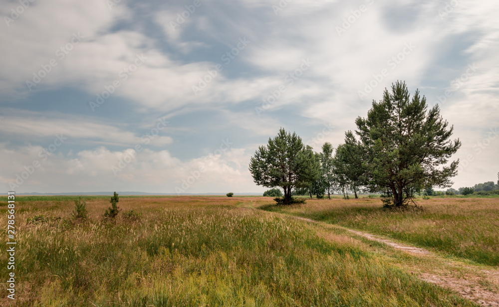 Endless Meadows (Słowiński Park Narodowy)