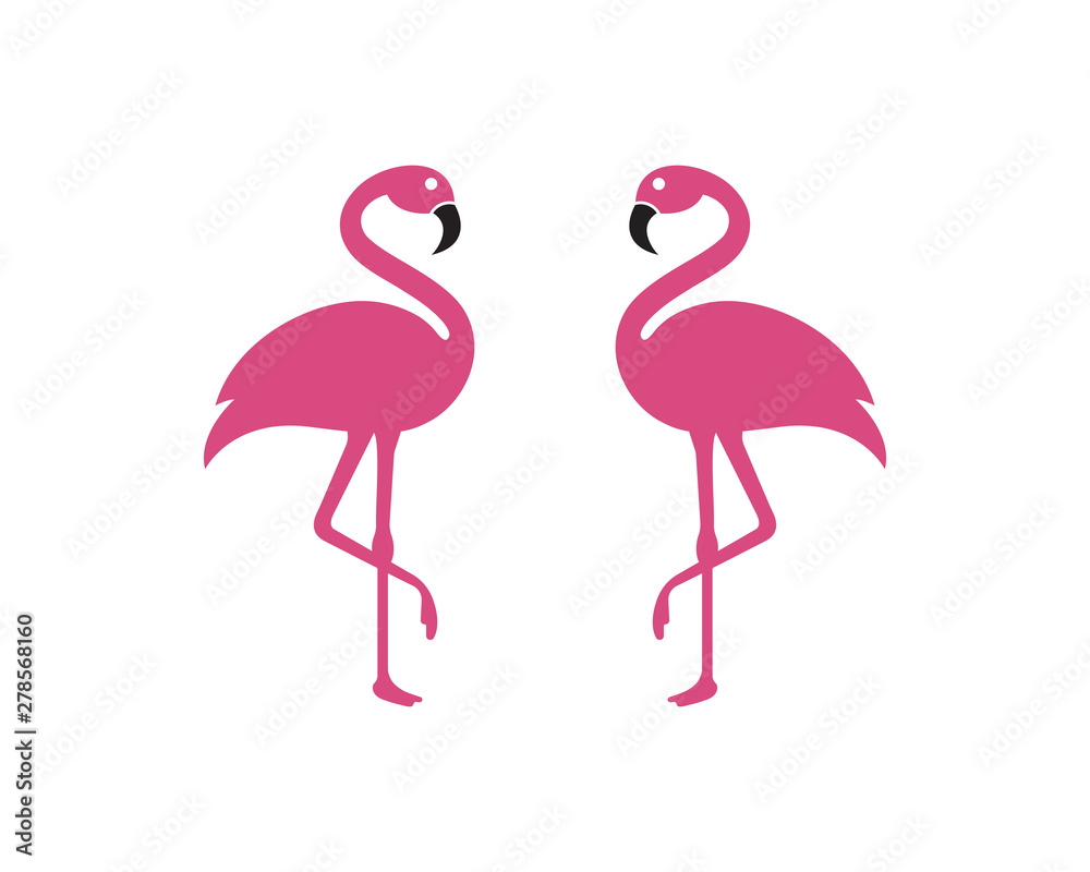Obraz premium Flamingo bird illustration design