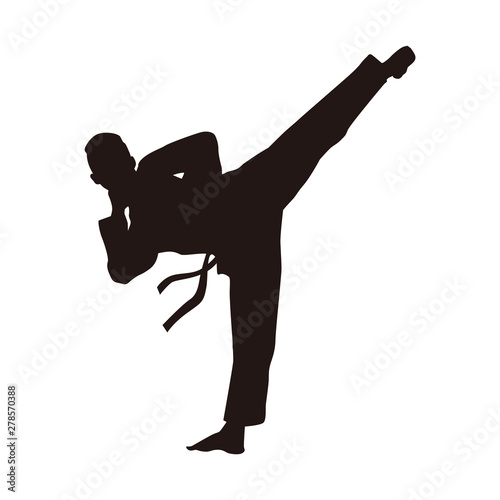 Martial Arts Fighter Silhouettes