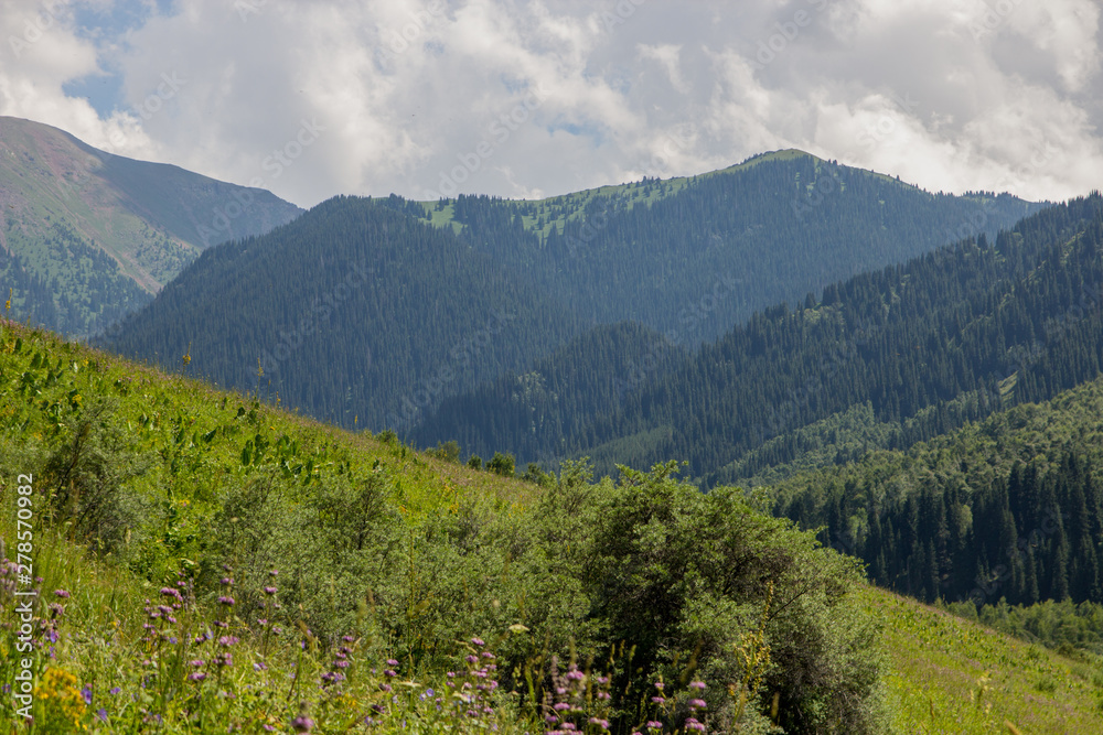 Obraz premium Mountains near the city of Almaty, Kazakhstan. Summer in the mountains, Kaskelen Gorge