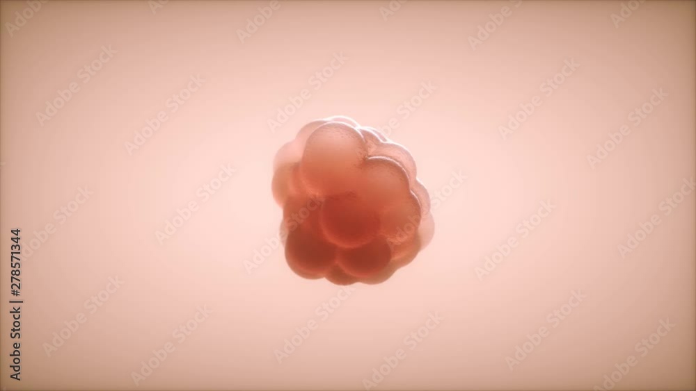 Cell growth - organism growing - 3D rendered animation