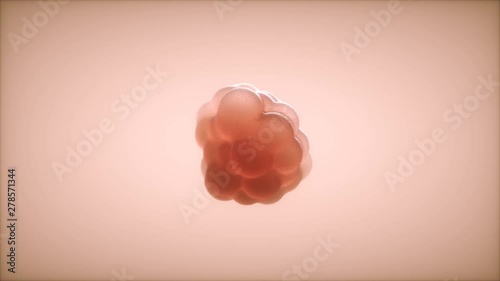 Cell growth - organism growing - 3D rendered animation