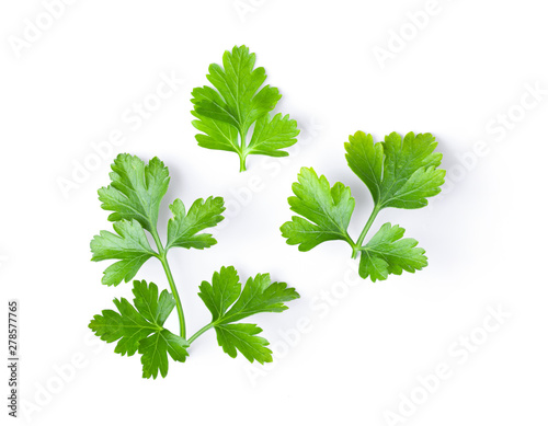 fresh parsley herb isolated on white background. top view