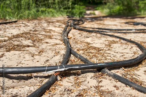 Stolen cable on ground in a forest. Stripped of metal wires. Protective casing