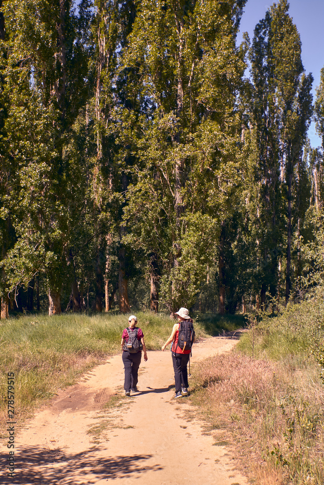 Rear view of man and women hiking on footpath