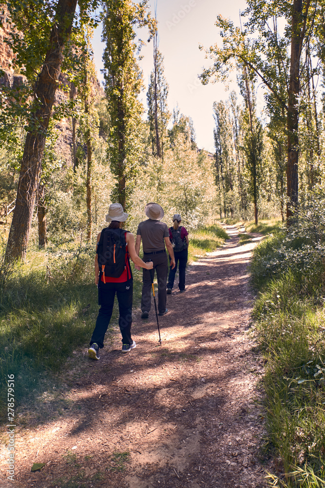 Rear view of man and women hiking on footpath Rear view of man and women hiking on footpath