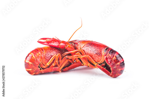 Fresh boiled red crayfish, isolated on white background.