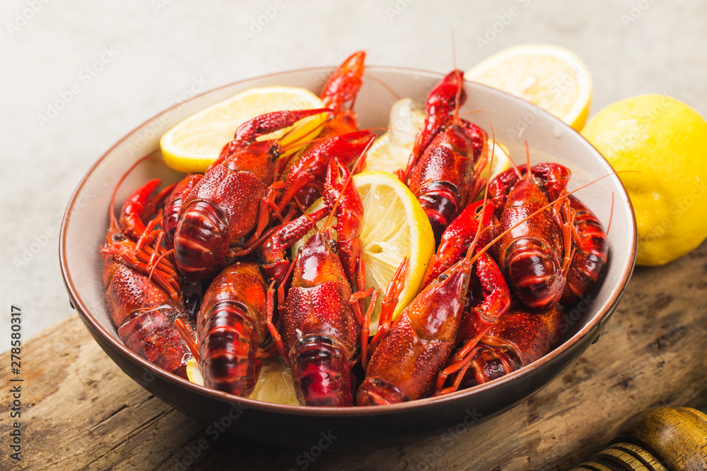 Fresh cooked crayfish in ice cubes Fresh cooked crayfish in ice cubes