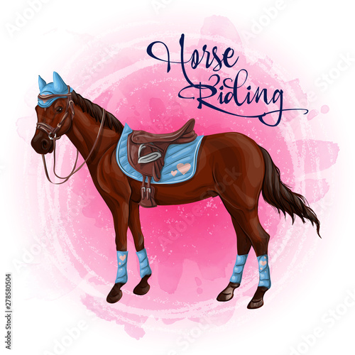 Horse in equestrian equipment vector illustration