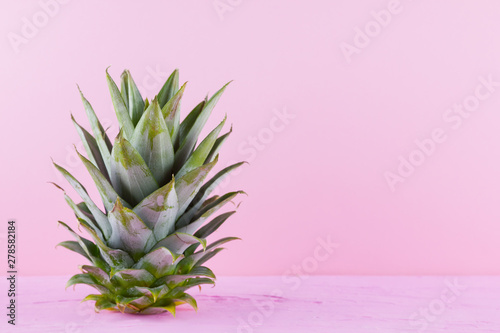 Pineapple leaves on a pink background. Fresh pineapple leaves. Summer concept. Top view. Copy space