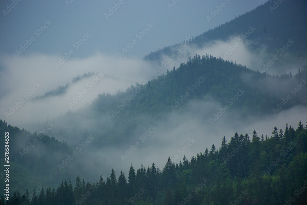 Morning pre-bright fog on the slopes of the mountains in the Carpathians, Ukraine