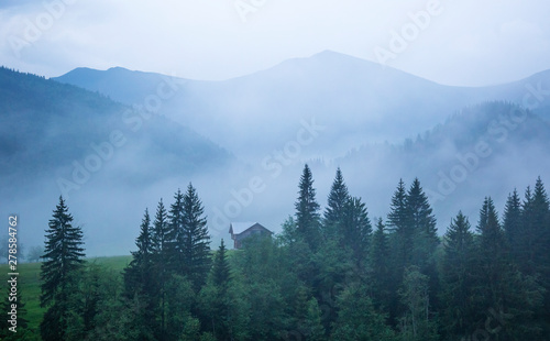 Morning pre-bright fog on the slopes of the mountains in the Carpathians, Ukraine © Tetiana Kravchuk