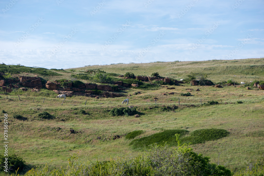 Valdelinares mountains in summer a sunny day Valdelinares mountains in summer a sunny day