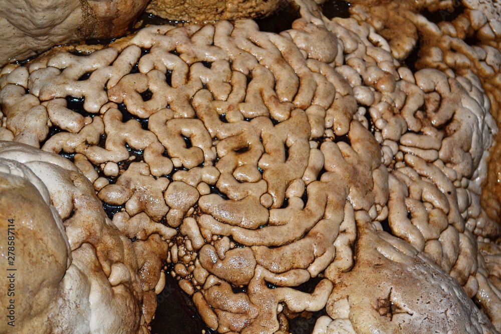 stalagmites and stalactites that form like the human brain