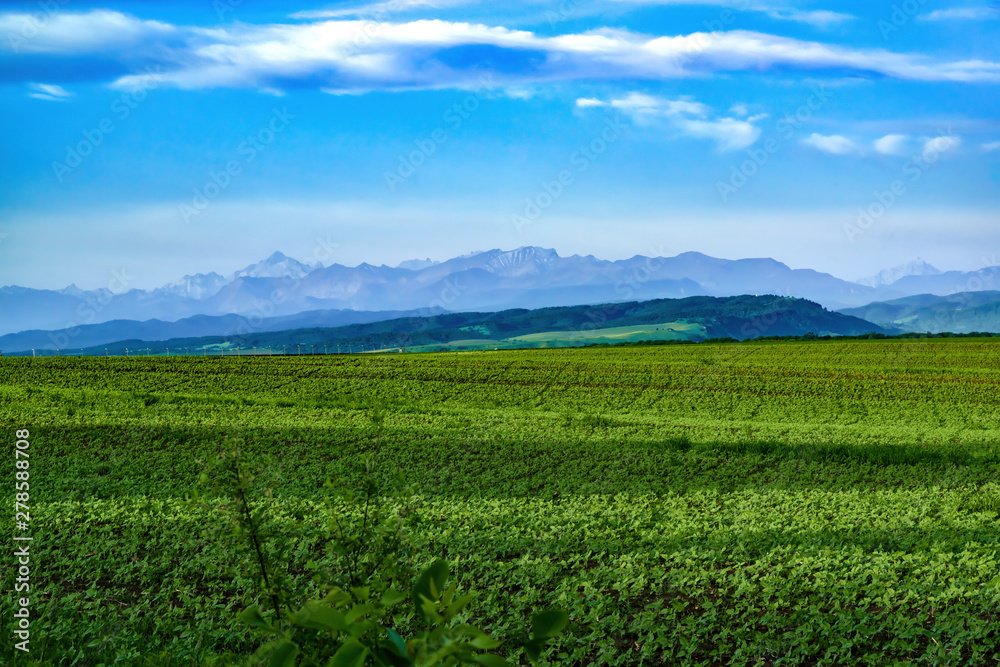 Rural landscape with green fields to the horizon. Against the background of the Caucasus Mountains in the haze and blue sky with clouds.