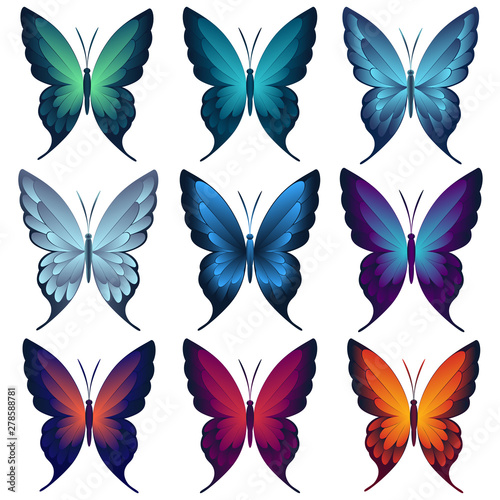 Set of multicolored  butterflies. View from above on a white  background. Isolated for decoration and design.  Vector illustration.