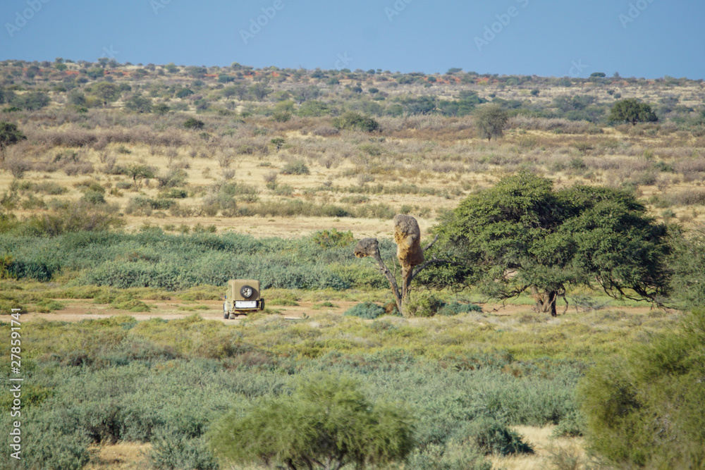 Naklejka premium Landschaft in Namibia Afrika