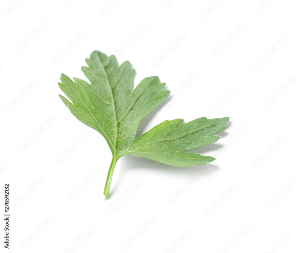 Fresh green organic parsley on white background