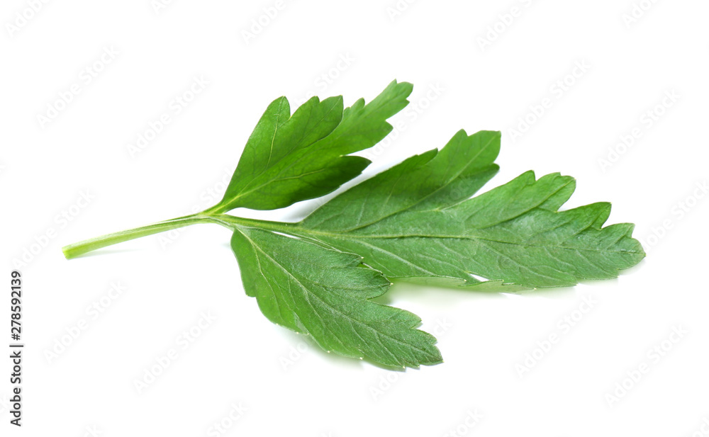 Fresh green organic parsley on white background Fresh green organic parsley on white background