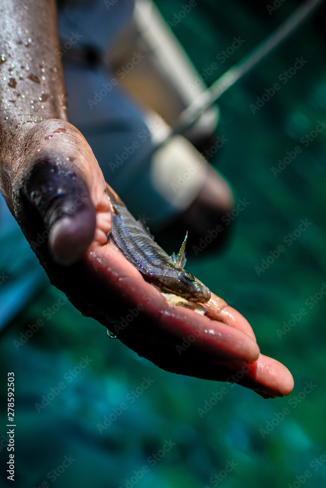 Obraz premium Handfischerei