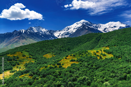 Beautiful view of alpine meadows in the Caucasus mountains. Pastures, meadows on the slopes and snow-capped mountains.