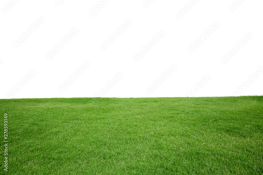Green Grass Texture with White Blank Copyspace