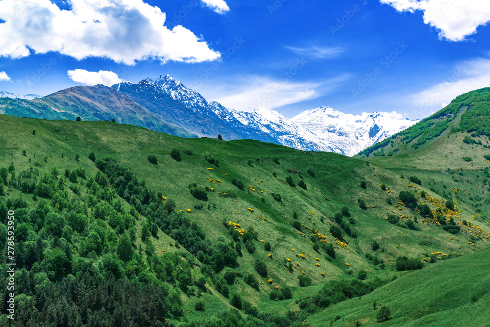 Beautiful view of alpine meadows in the Caucasus mountains. Pastures, meadows on the slopes and snow-capped mountains.