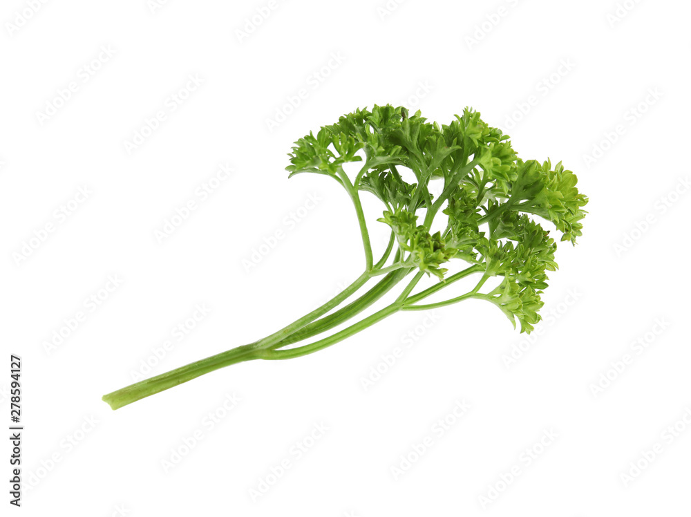Fresh green organic parsley on white background
