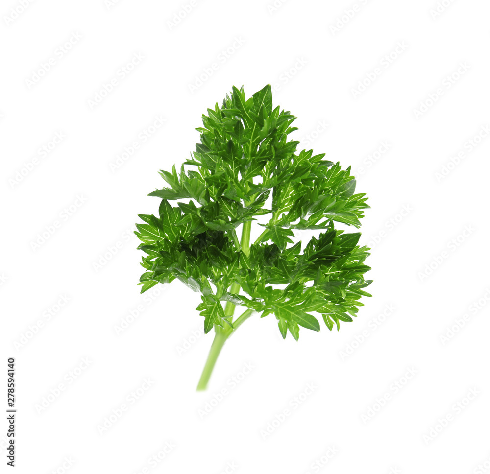 Fototapeta premium Fresh green organic parsley on white background