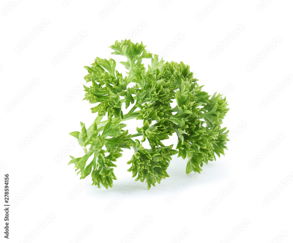 Fresh green organic parsley on white background Fresh green organic parsley on white background