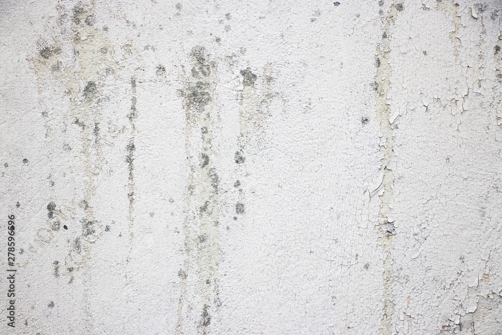 Grunge white wall texture background
