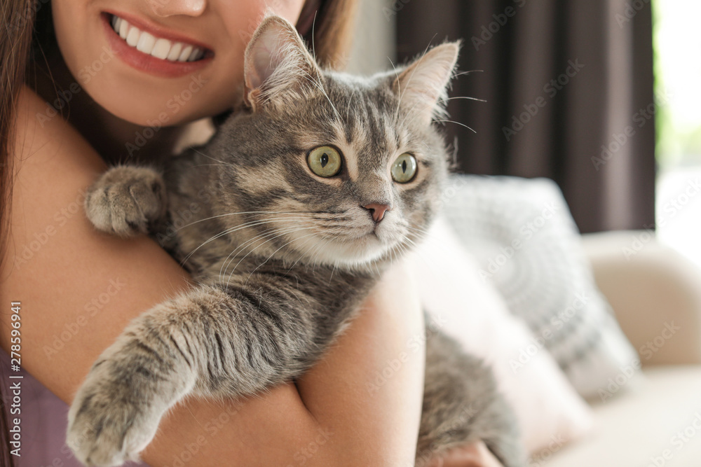 Young woman with cute cat at home, closeup. Pet and owner Young woman with cute cat at home, closeup. Pet and owner