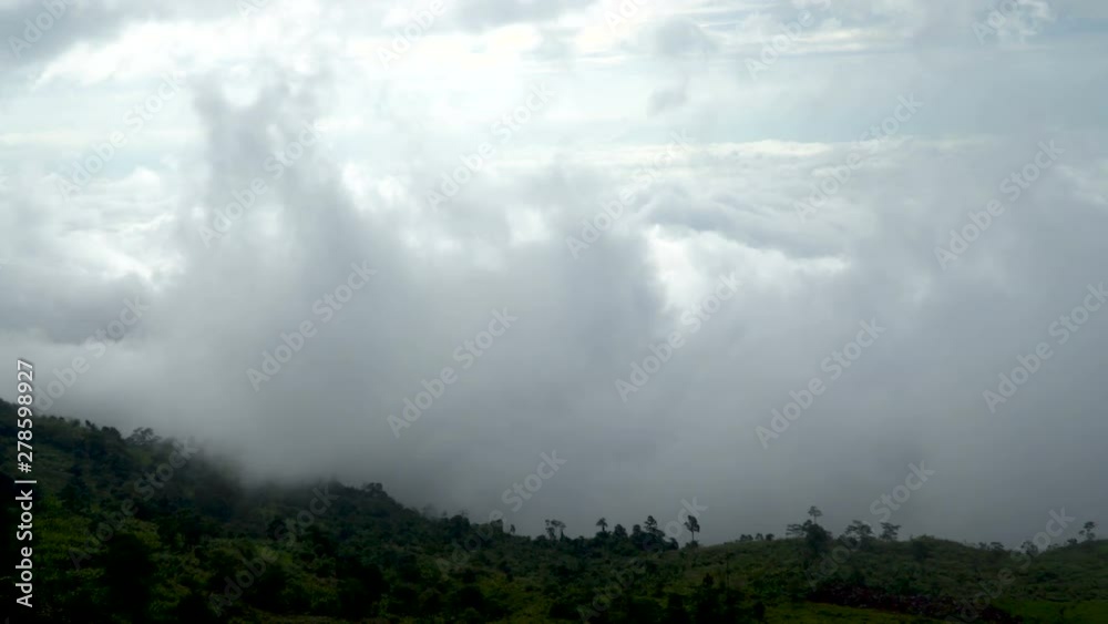 Misty landscape with fir forest Misty landscape with fir forest